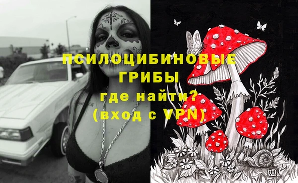 apvp Горняк