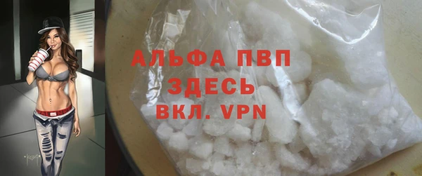 apvp Горняк