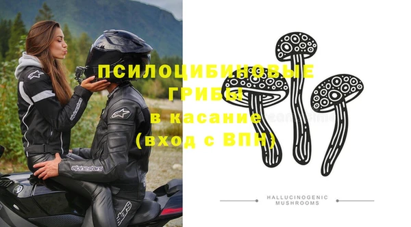 соль ск Горнозаводск