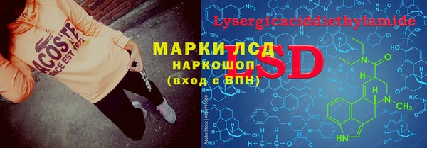 ПСИЛОЦИБИНОВЫЕ ГРИБЫ Вязники