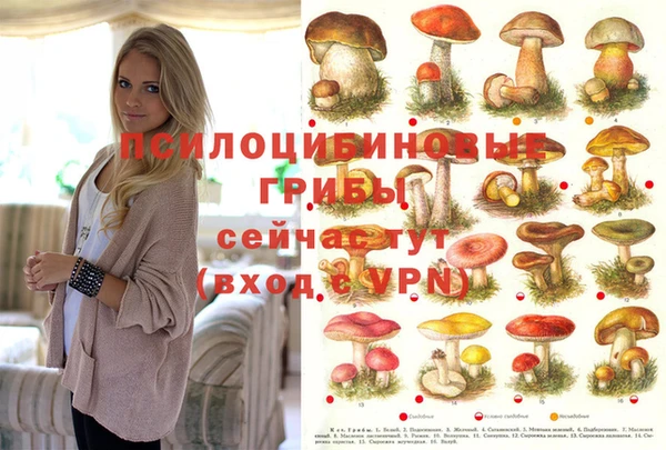 соль ск Горнозаводск