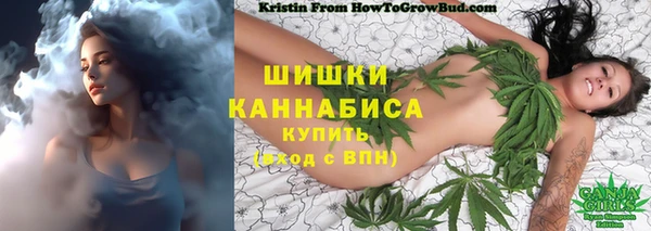 apvp Горняк