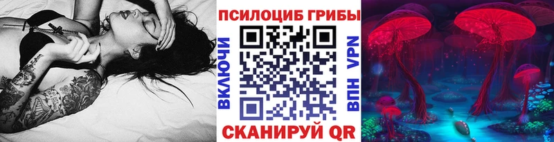 Галлюциногенные грибы Cubensis Рязань